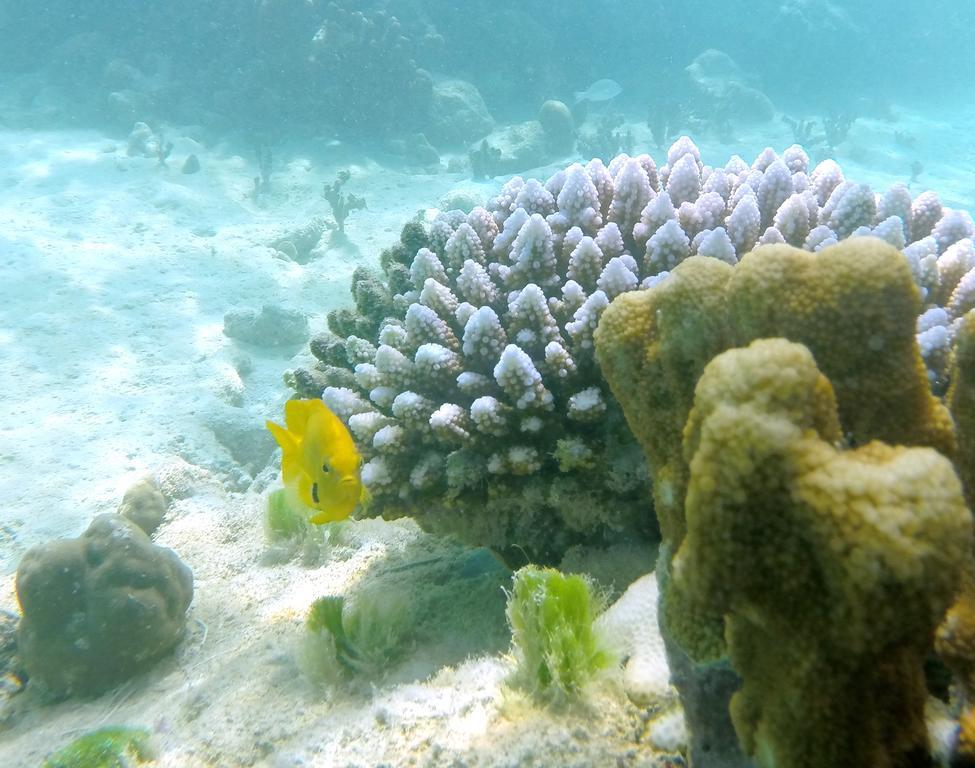 โรงแรมเคอร์ฟไอส์แลนด์รีสอร์ท Round Island ภายนอก รูปภาพ