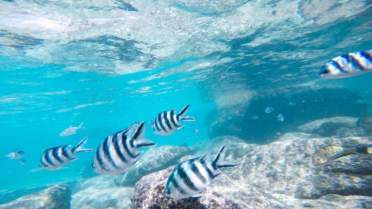 โรงแรมเคอร์ฟไอส์แลนด์รีสอร์ท Round Island ภายนอก รูปภาพ